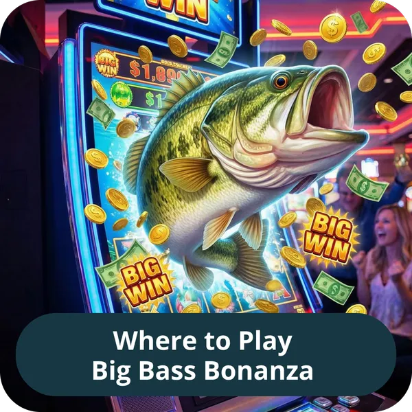 Where to Play Big Bass Bonanza