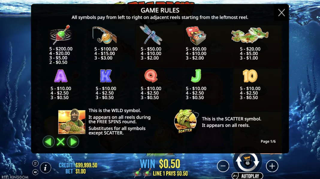 Triggering the Free Spins Bonus